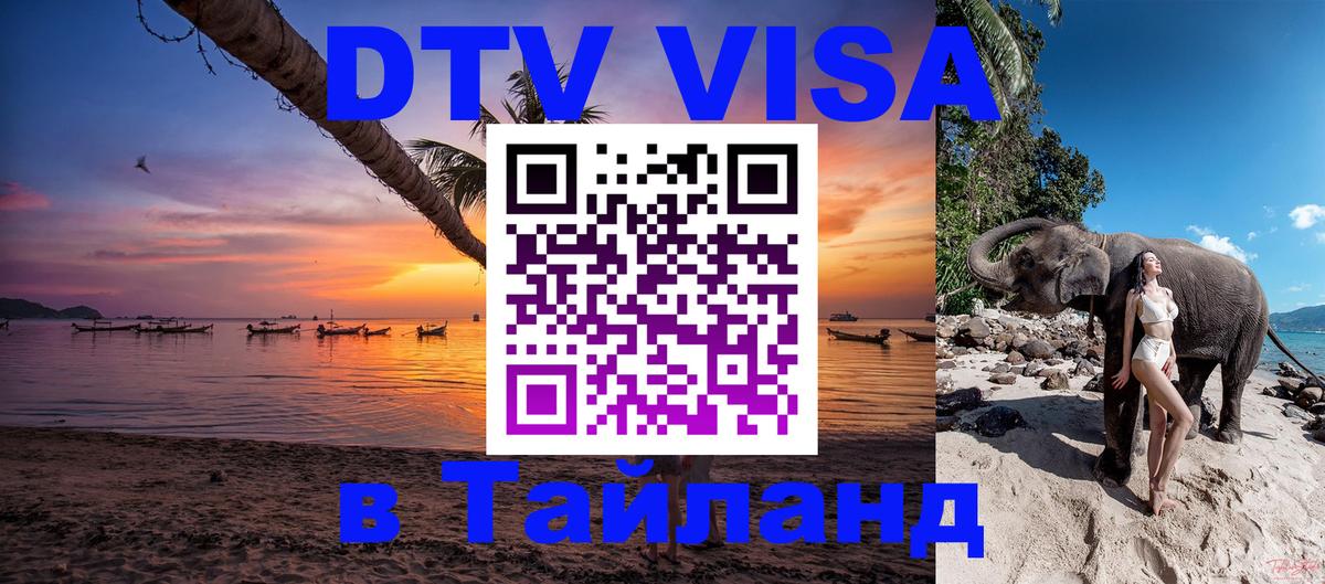 Сколько стоит DTV виза — актуальные цены, оформление даже без документов - Бийск 